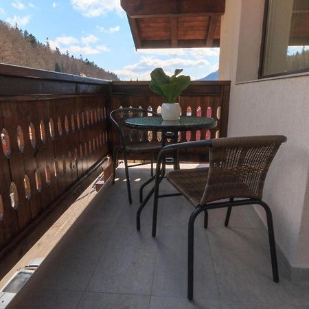 Stars & Mountain Apartment Buşteni Εξωτερικό φωτογραφία