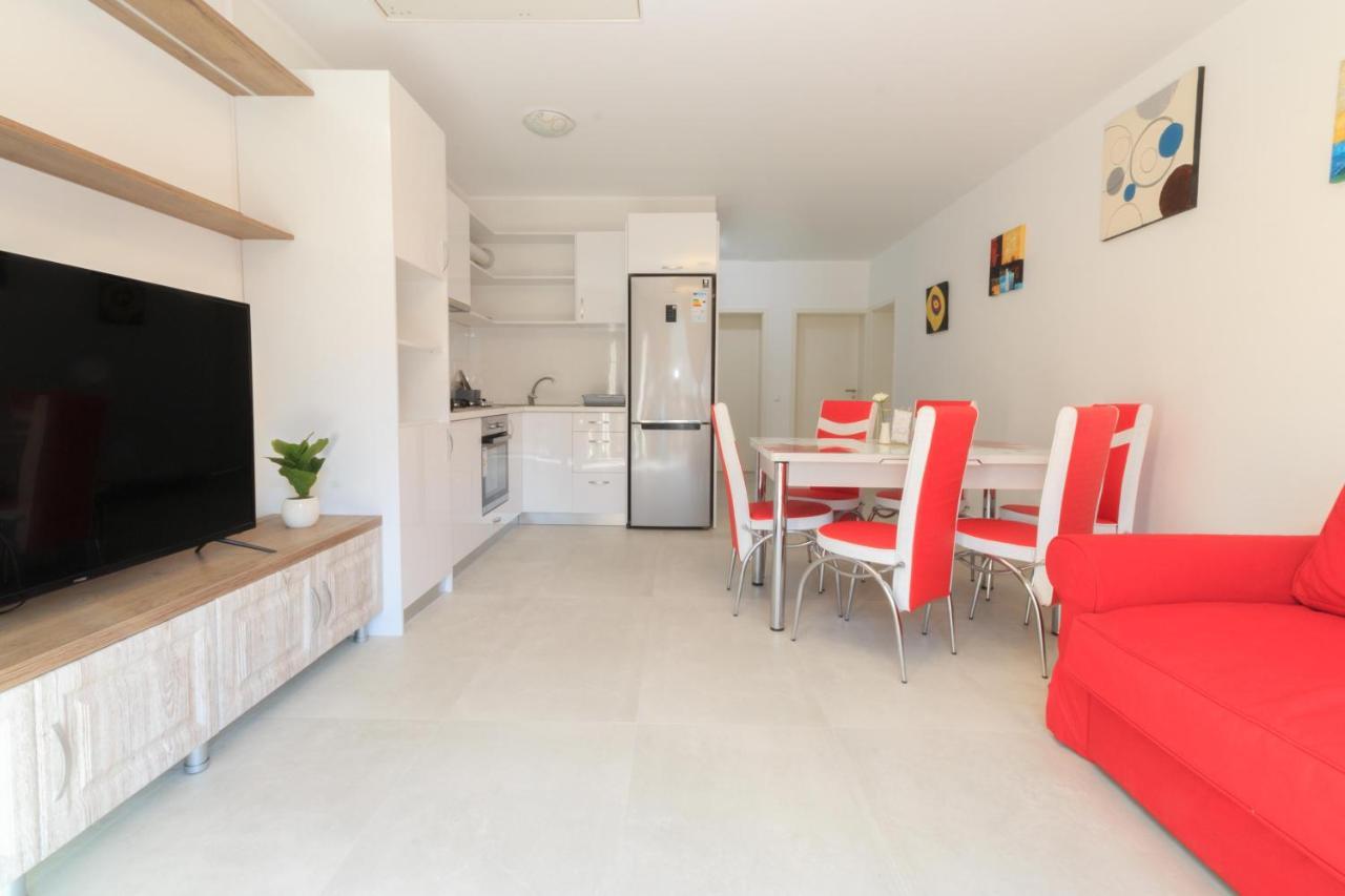 Stars & Mountain Apartment Buşteni Εξωτερικό φωτογραφία