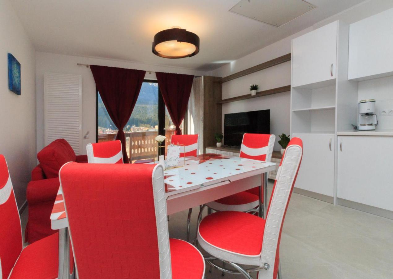 Stars & Mountain Apartment Buşteni Εξωτερικό φωτογραφία