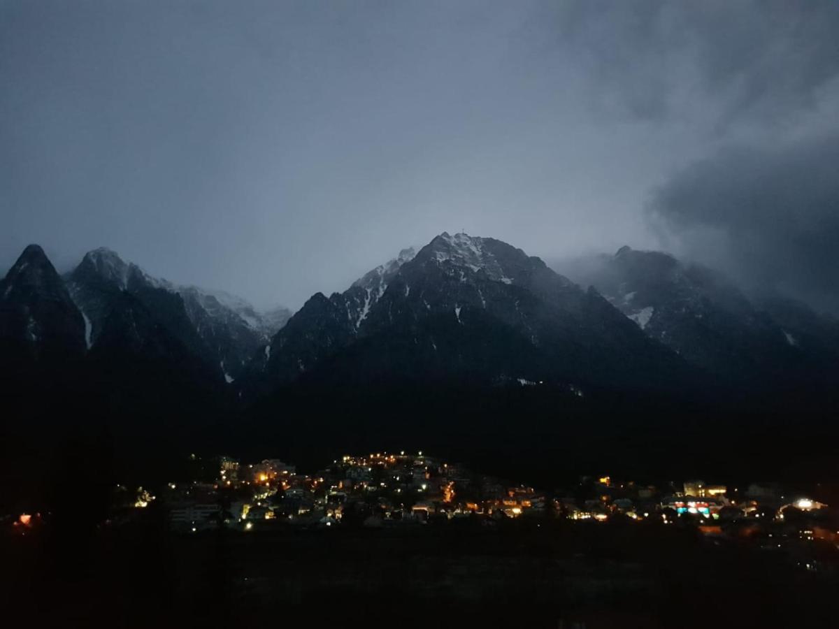 Stars & Mountain Apartment Buşteni Εξωτερικό φωτογραφία