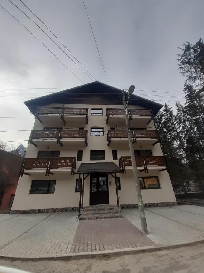 Stars & Mountain Apartment Buşteni Εξωτερικό φωτογραφία