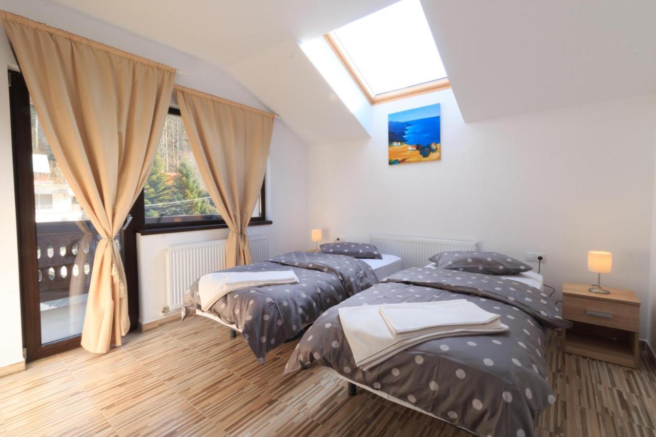 Stars & Mountain Apartment Buşteni Εξωτερικό φωτογραφία