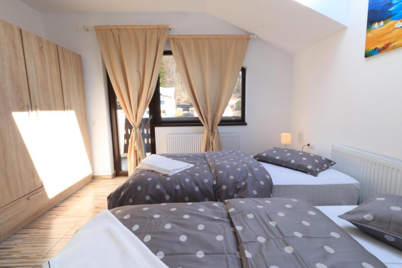 Stars & Mountain Apartment Buşteni Εξωτερικό φωτογραφία