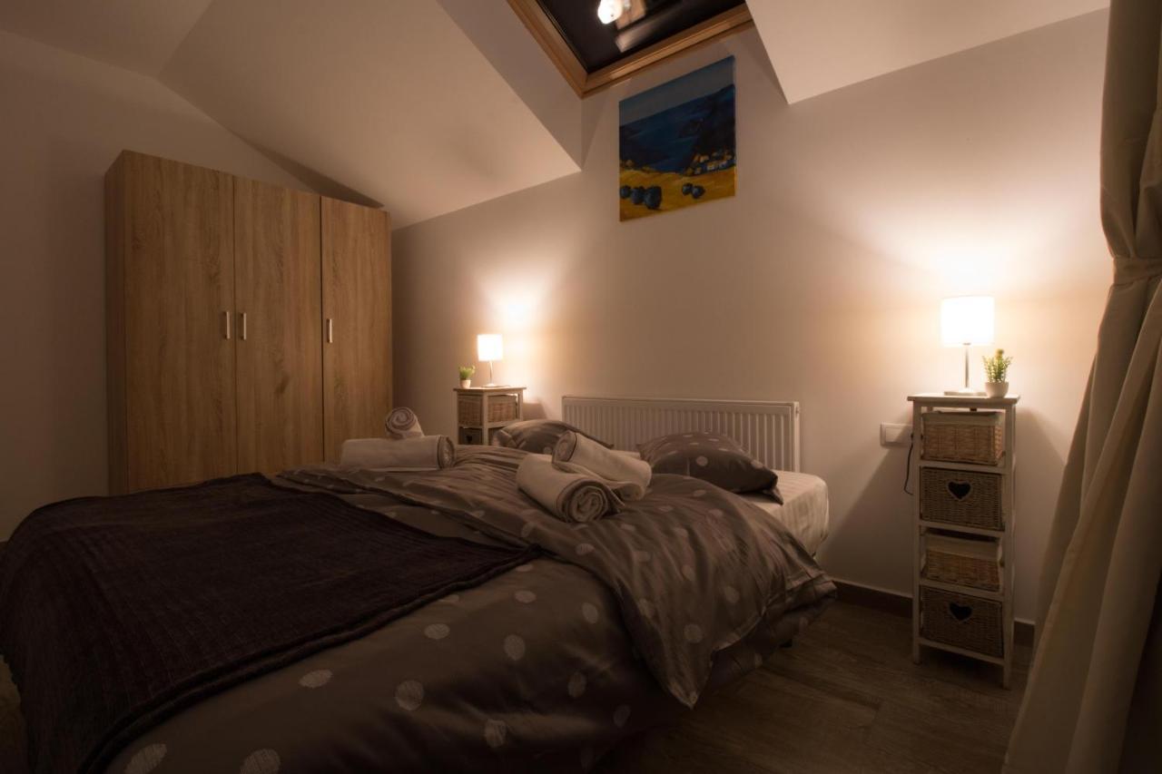 Stars & Mountain Apartment Buşteni Εξωτερικό φωτογραφία